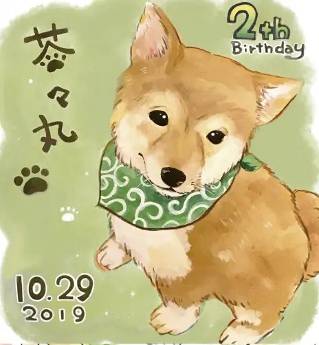 柴犬の似顔絵